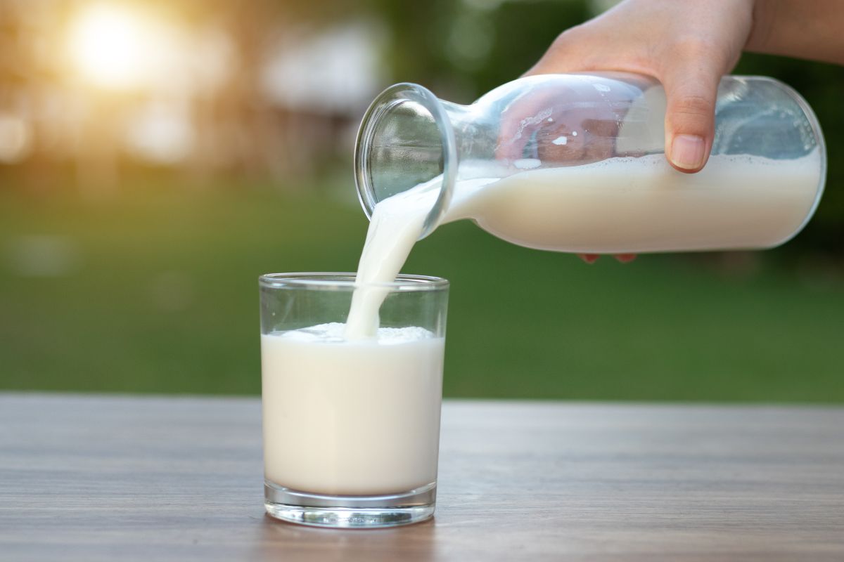 dairy-heart-health-how-much-milk-should-you-drink-off-the-couch